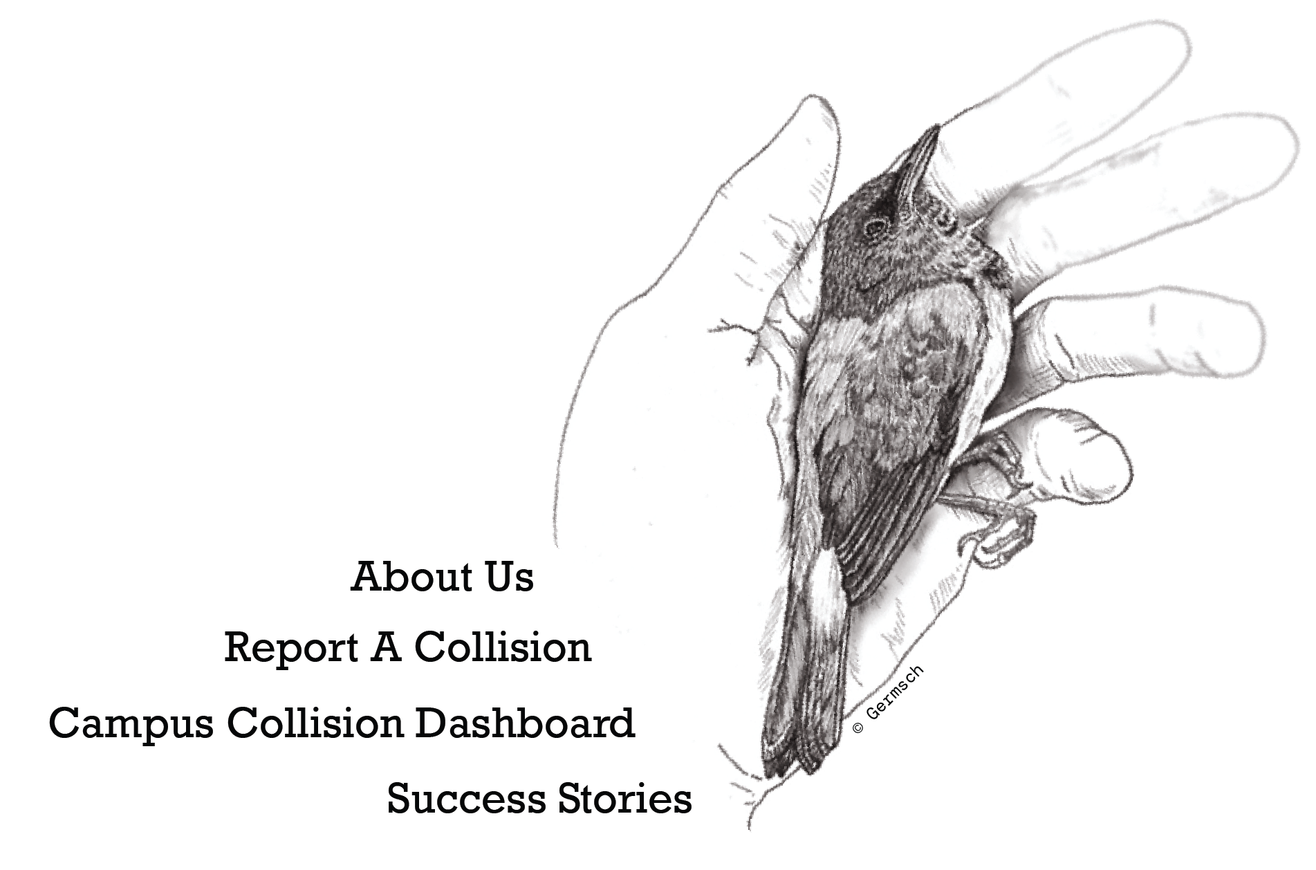 Illustration of a bird held in an open hand with navigation