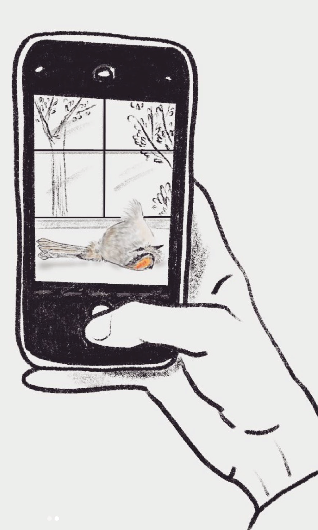 Illustration of a hand holding a phone photographing a bird