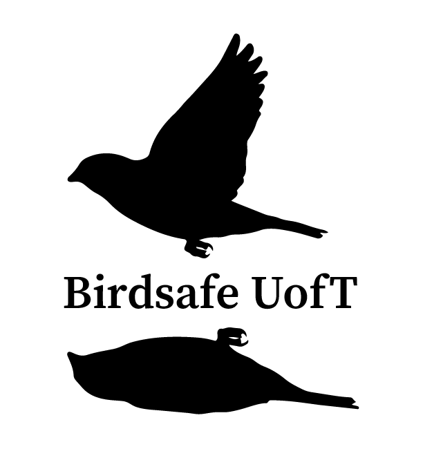 Birdsafe UofT logo
